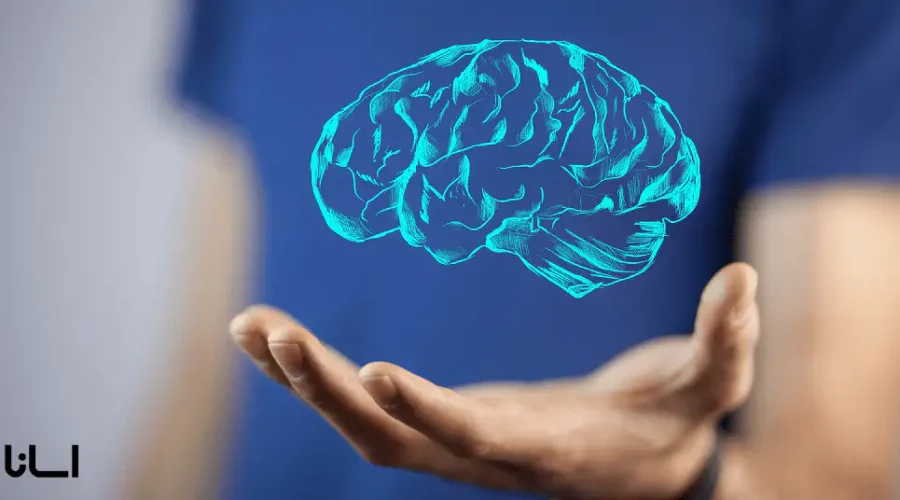 تاثبر مدیتیشن و مراقبه بر مغز