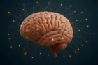 تاثیرات و فواید یوگا برای مغز