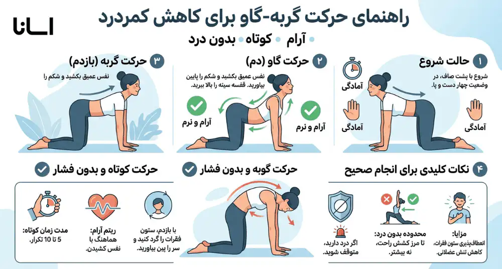 اینفوگرافی حرکت گربه گاو برای دیسک کمر