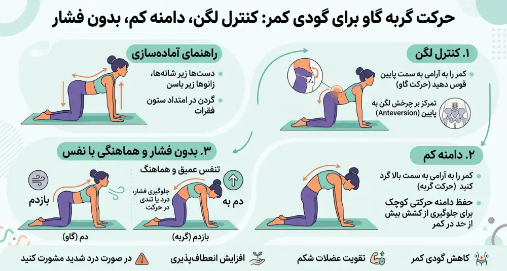 اینفوگرافیک مشخصات حرکت گربه گاو