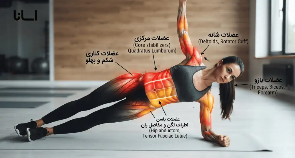 پلانک پهلو چه عضلاتی را درگیر میکند؟