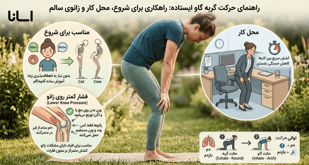 اینفوگرافیک حرکت گربه گاو ایستاده