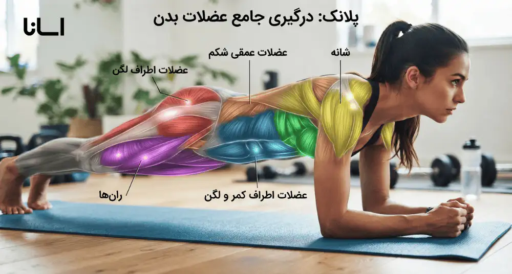 پلانک کدام عضلات را درگیر میکند؟