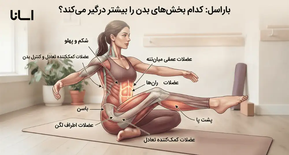 باراسل کدام بخشهای بدن را بیشتر درگیر میکند؟